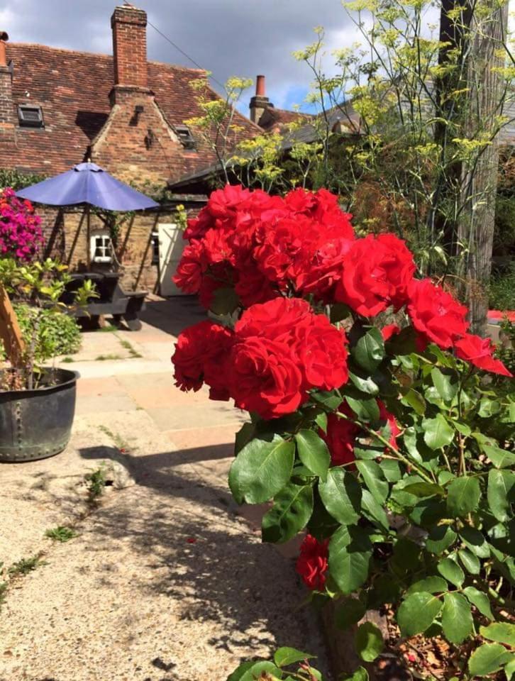 The Wheatsheaf Bed & Breakfast Bramley  Exterior foto